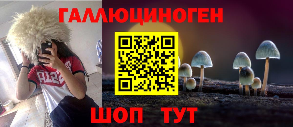 Унеча  Галлюциногенные грибы мухоморы  купить закладку  Вход с VPN  Псилоцибиновые грибы MAGIC MUSHROOMS 